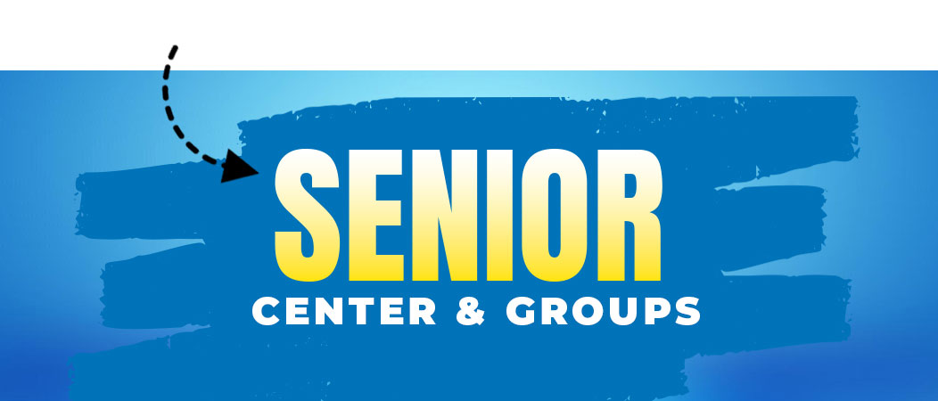 The Senior Center and Groups at Sauk Village IL