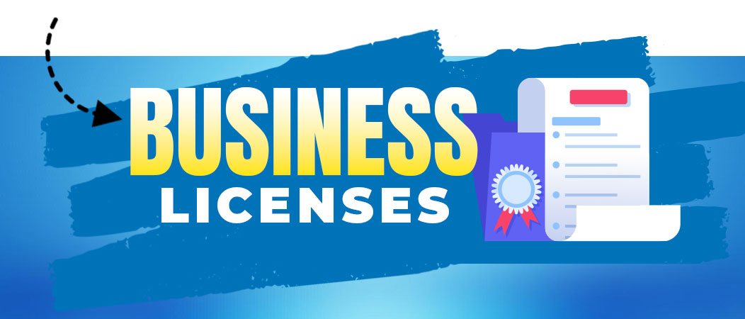 business licenses in Sauk Village